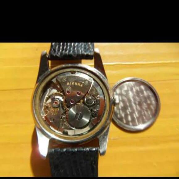 Very Collectible Rare 1960's SWISS BIENNA 17 Jewels Manual Men's Watch - Picture 8 of 9